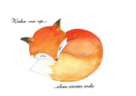 Sleeping Fox Drawing At Getdrawings Free Download