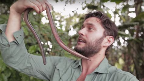 Explorer Captures Footage Of A Giant Earthworm In Ecuador Mental Floss