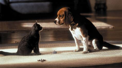 ‎cats And Dogs 2001 Directed By Lawrence Guterman • Reviews Film