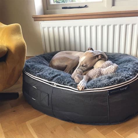 A Restful Retreat How Foam Mattresses Revolutionize Dog Bed Comfort