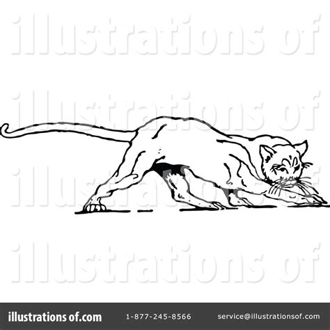 Big Cat Clipart 1180424 Illustration By Prawny Vintage