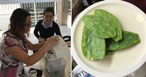 But sandra pascoe ortiz, a chemical engineer at the universidad del valle de atemajac in mexico, may she's created a biodegradable plastic from cactus leaves that quickly breaks. Mexican Researcher Creates Plastic From Cactus That Is ...