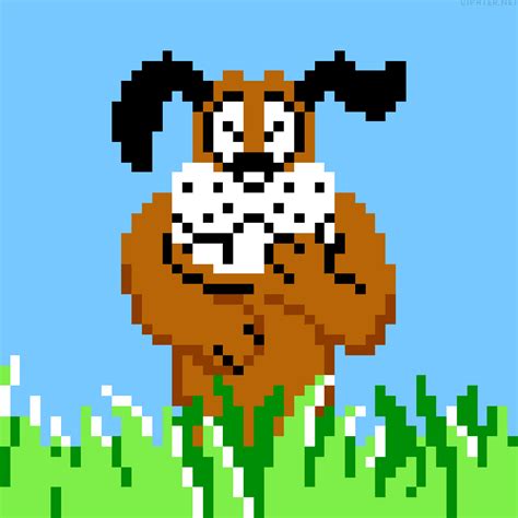 Laughing Dog Duck Hunt Reaction S