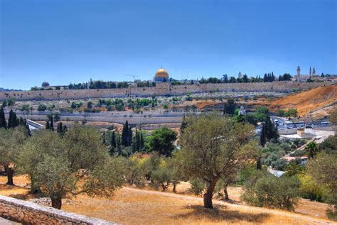 Mount Of Olives Love The Trees Raised Bed Garden Design Raised