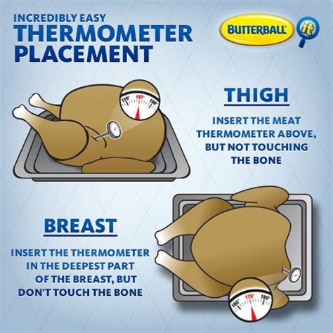 If you are roasting chicken parts, insert the thermometer into the thickest parts without touching bone. Want to keep your cool while checking your turkey's ...