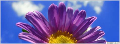 Purple Flower Sky Facebook Timeline Cover Facebook Covers Myfbcovers