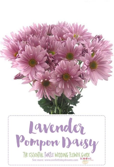 The Complete Guide To Purple Wedding Flowers Purple Flower Names Artofit