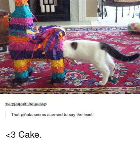 Many Poppinthatpussy That Pinata Seems Alarmed To Say The Least