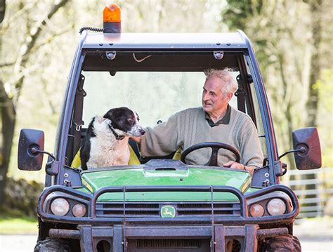 Sheepdog Behind Wheel Of Runaway Vehicle Causes Scare On Scotland