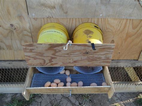 Img Chicken Nesting Boxes Chicken Coop Designs Chicken Diy