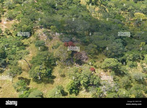 Aerial Photograph Of An African Woodland Near Chunya Tanzania Stock
