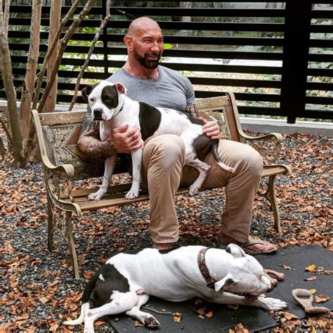 Guardians Of The Galaxy Star Dave Bautista Adopts Two Beautiful