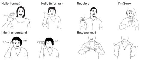 Essential Expressions In British Sign Language For Dummies British