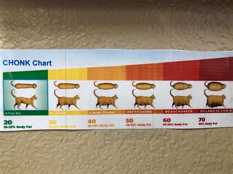 I Introduce To You The Chonk Chart Fellowkids