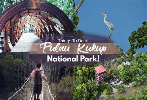 Pulau kukup) is an island in pontian district, johor, malaysia. Explore and Have Fun at Pulau Kukup National Park - JOHOR NOW