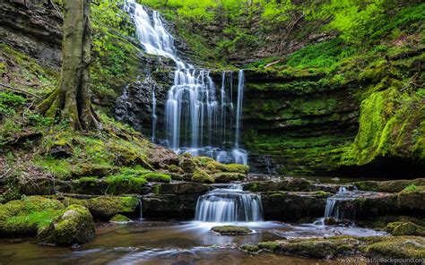 Waterfall Nature Forest Wallpapers Hd Desktop And