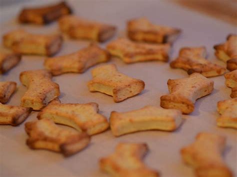 Homemade healthy dog biscuit recipes + ebook. Dog food recipes | Homemade, delicious and healthy