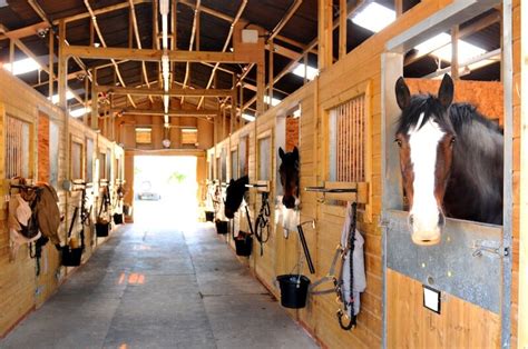 Horse Boarding San Diego 4 Luxury Stables Near You