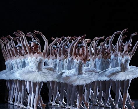 Stephen Baynes Swan Lake The Australian Ballet 2016 Michelle Potter