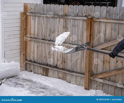 Snow Shovel Is Throwing A Scoop Of Snow That Has Been Shoveled From