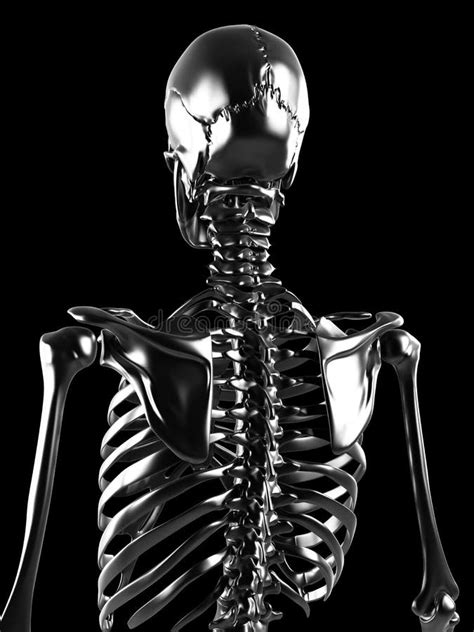 Metal Skeleton Stock Illustration Illustration Of Hard 30722051