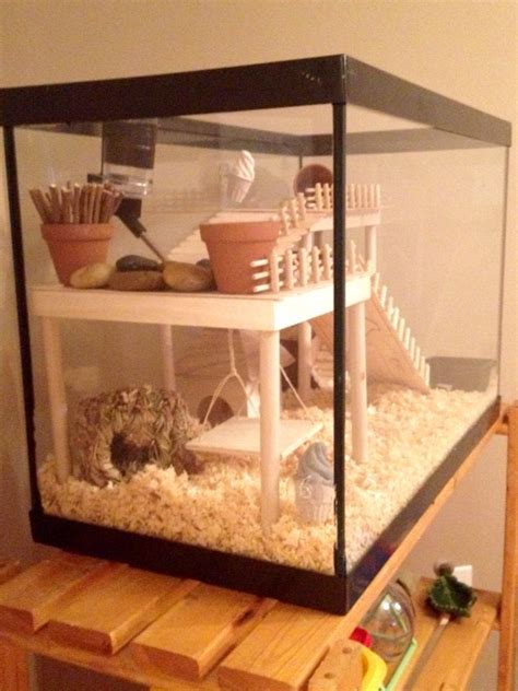 I used 4 precut panels which i screwed together. 17 Best images about DIY mouse cage ideas on Pinterest | Ikea billy, Guinea pigs and Hamster cages