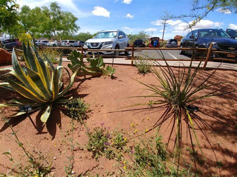 Home » new construction homes in st george utah. Red Hills Desert Garden, St. George, Utah - May, 2019 ...