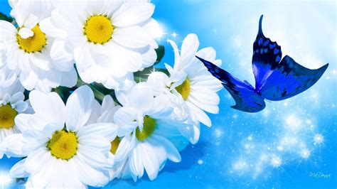 21 Background Biru Muda Bunga Ani Gambar