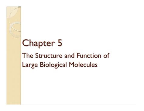 Chapter 5 The Structure And Function Of Large Biological Molecules