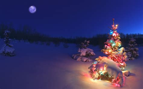 Arbol De Navidad Con Luces De Colores En La Nieve Wallpaper Hd Download