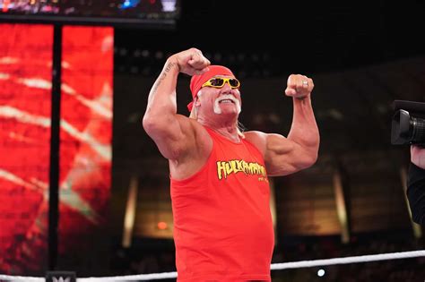 Hulk Hogan In Wwe Ra W A