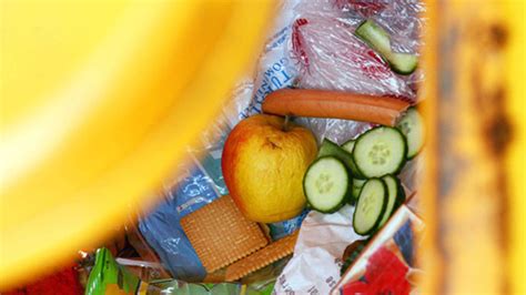 Maden in der Mülltonne vorbeugen und bekämpfen - mit Hausmitteln | Wohnen