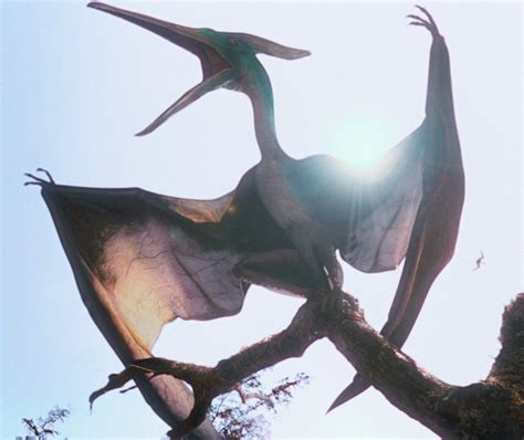 The Lost World Pteranodon Frontier Forums