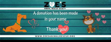 Zoes Animal Rescue Adopt A Dog Or Cat In Edmonton Alberta