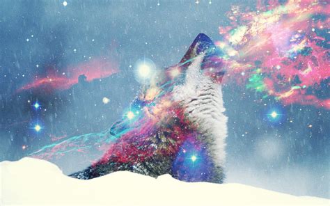 Hipster Wolf Wallpaper Wallpapersafari