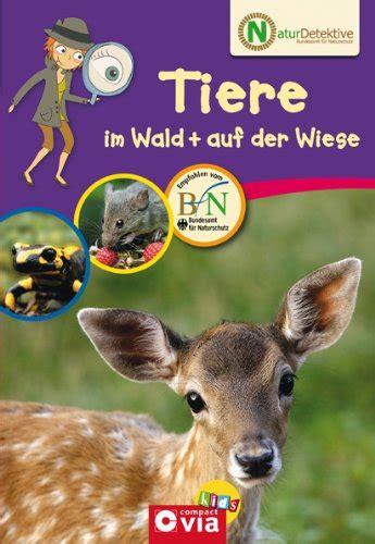 Naturdetektive Tiere Im Wald Und Auf Der Wiese Wissen Und Beschäftigung Für Kleine
