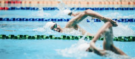 Adult Swimming Lessons Expressions Of Interest Melbourne Sports