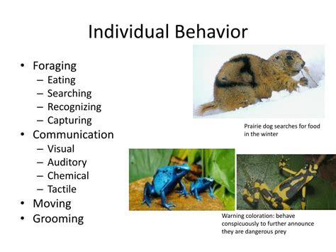Ppt Animal Behavior Powerpoint Presentation Free Download Id3641425