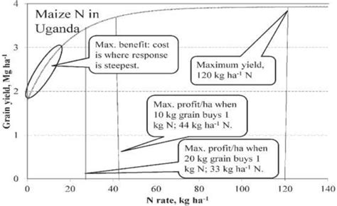 Maize Yield Response To N Fertilizers And Effect Of Change In Cost Of