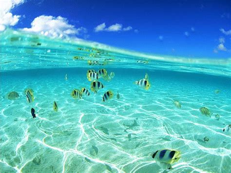 You can also upload and share your favorite gambar background simple untuk powerpoint. ALESSANDRINA BLOGGER GOOGLINK: Dekstop Background : Dunia ...