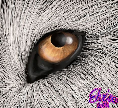 Wolf Eye By Neovirah On Deviantart Wolf Eyes Wolf Eyes