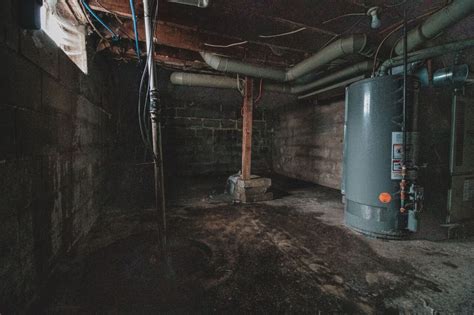 Unfinished Basements Collect Mold Mold Kansas