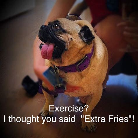 Exercise I Thought You Said Extra Fries Pugsley Luigi Pugster