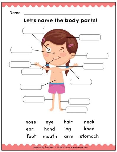 3 body parts exercises and worksheets. Printable: Identify the Body Parts Learning Worksheets ...