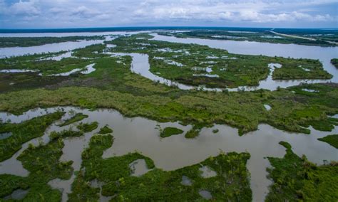 How To Save Saltwater Wetlands From Rising Seas The Good Men Project