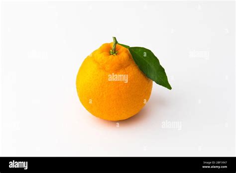 Hallabong Naranja Sobre Fondo Blanco Una Fruta Vista Desde Arriba