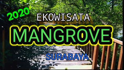 Ekowisata Mangrove Wonorejo Surabaya 2020 Youtube