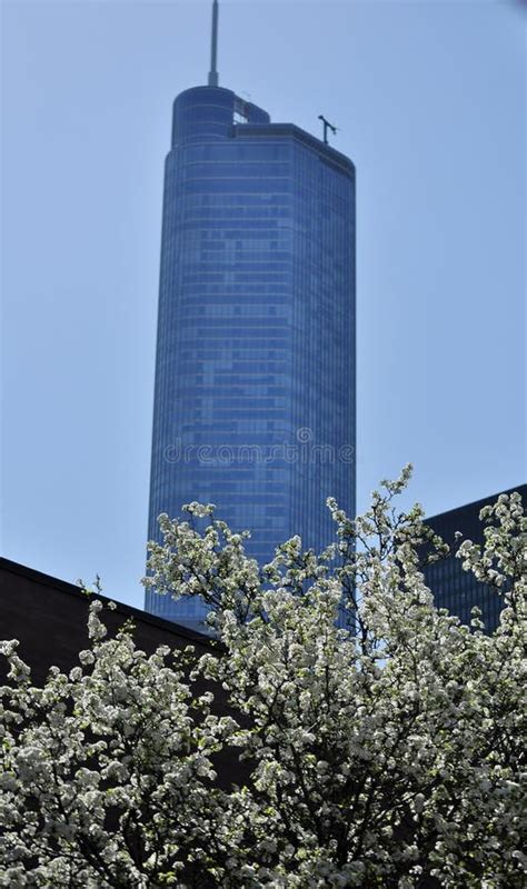 Chicago Skyscraper In Spring Stock Photo Image Of Landscape