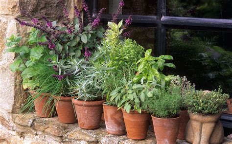 Planning A Herb Garden Heres How To Grow Herbs In The Uk The Telegraph