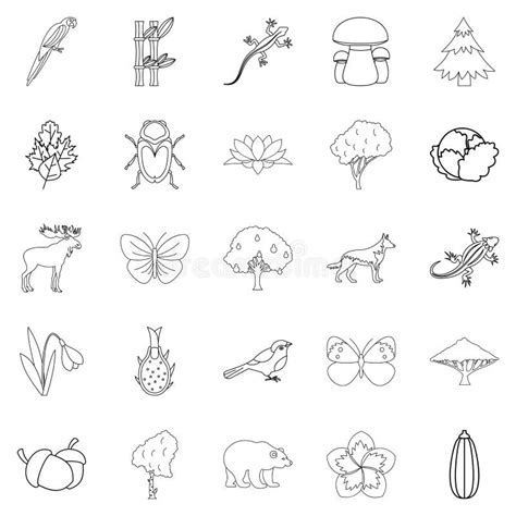 Forest Animal Icons Set Outline Style Stock Vector Illustration Of